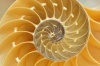spirale_100