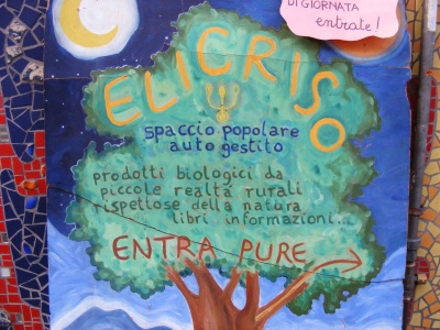 L'Elicriso