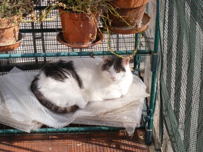 Elsa in serra. Photo by Antonio Franco