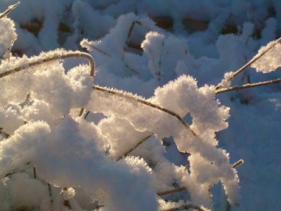 Neve: da www.vogliaditerra.com