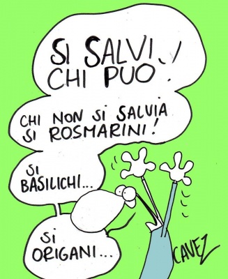 La salvia di Cavezzali