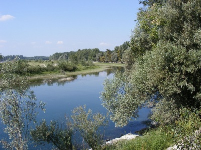 Ansa del Ticino vicino Abbiategrasso: photo by Antonio Franco