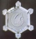 water_emoto5